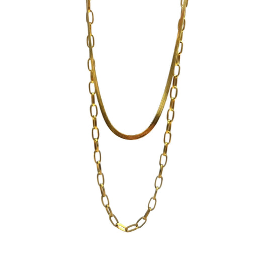 Collar Nova